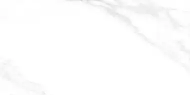 Carrara Excellent Silver Белый Матовый 60х120