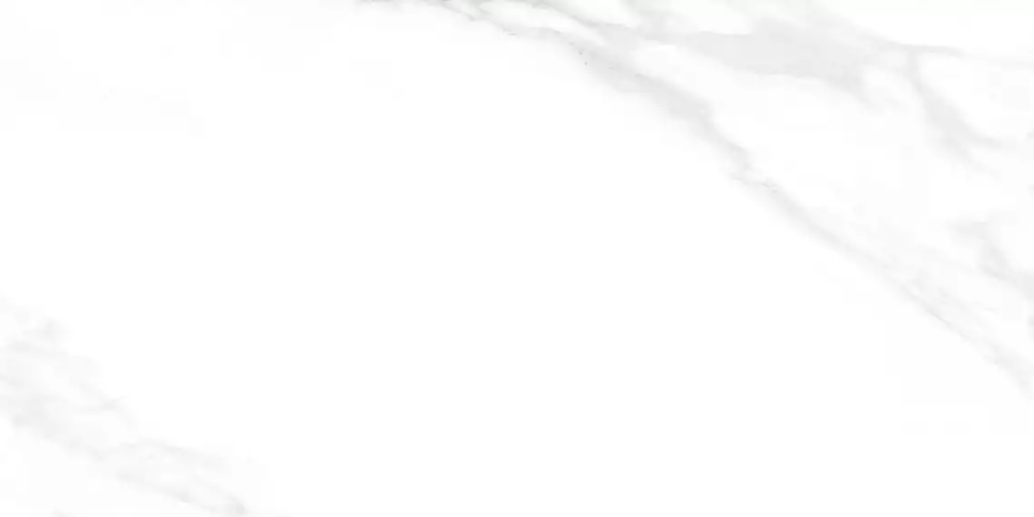 Carrara Excellent Silver Белый Матовый 60х120