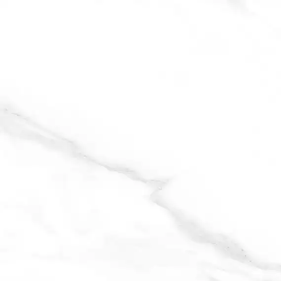 Carrara Excellent Silver Белый Матовый 60х60