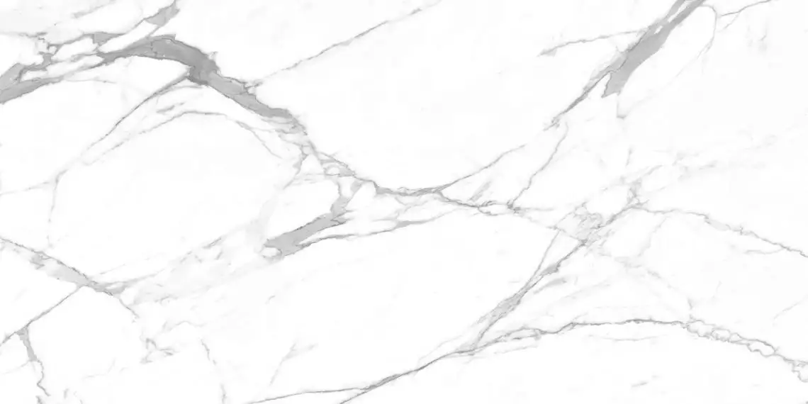 Carrara Terrific Silver Белый Матовый 60х120