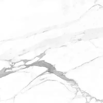 Carrara Terrific Silver Белый Матовый 60х60
