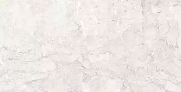 Emil White светло-серый Полированный 60x120