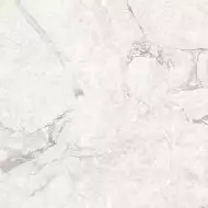 Emil White светло-серый Полированный 60x60