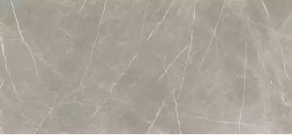 Eternal Natural Taupe 260x120