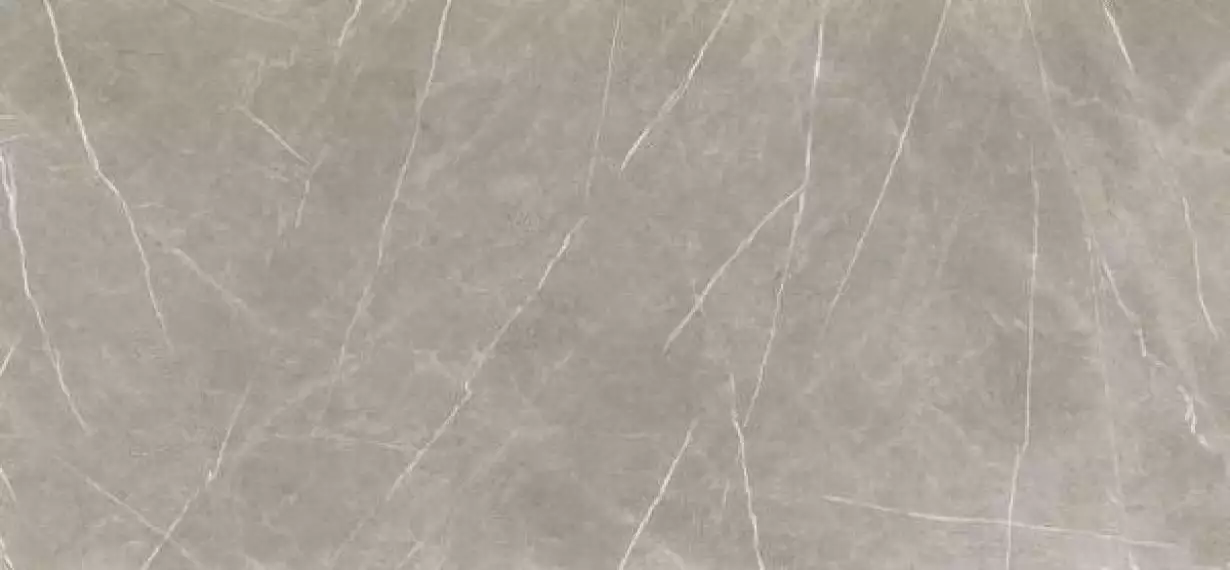 Eternal Natural Taupe 260x120