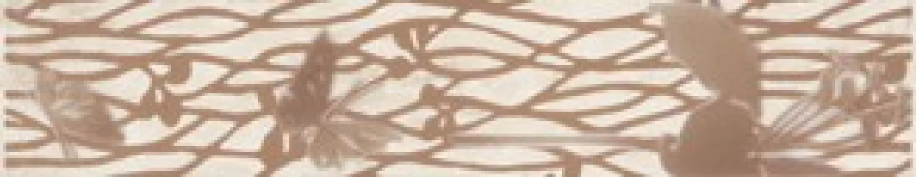 Frezja Beige 4,8x25