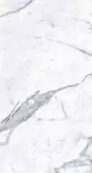MN031AP261206 Staturio Venatino Polished 6mm 120x260