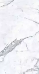 MN031AP261206 Staturio Venatino Polished 6mm 120x260
