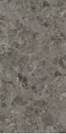 MN282CP261206 Cicili Grey Polished 6mm 120x260