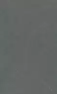 MN287CP261206 Bulgaria Medium Grey Polished 6mm 120x260