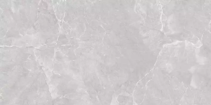 Marble Grey PRO серый матовый R11Soft 60х120