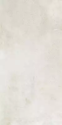 Maxstone White Mat 60x120