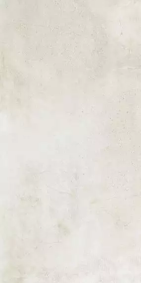 Maxstone White Mat 60x120