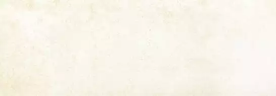 Metallic Platinum Matt Ret 35x100