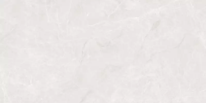 Mramor Princess White Светло-серый Полированный 60х120