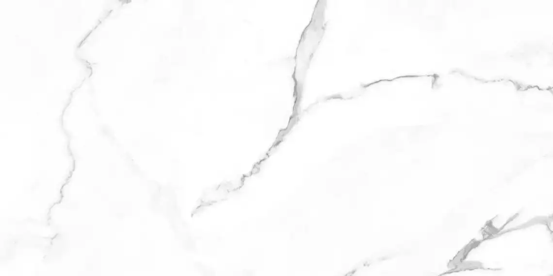 NR235 Керамогранит Dalim White Матовый 60x120