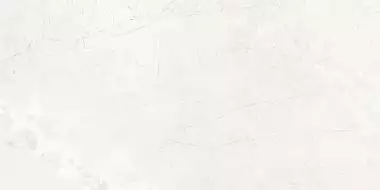 Novelle Gris Полированный 60x120