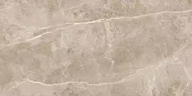 Obsidian Taupe Полированный 60x120