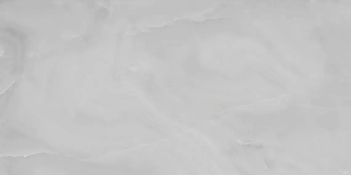 Onyx Silk Grey светло-серый сатинированный 60х120