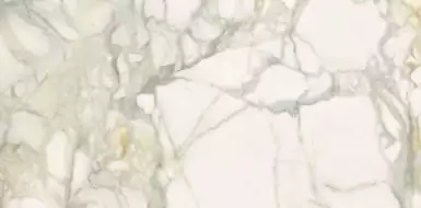 P62365 Calacatta Oro Nat 60x120