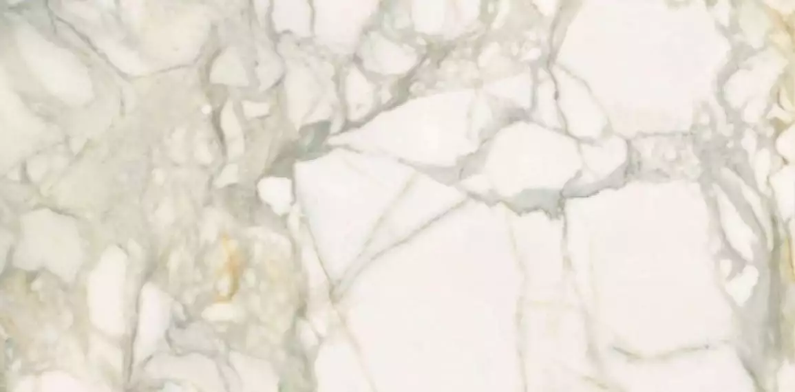 P62365 Calacatta Oro Nat 60x120