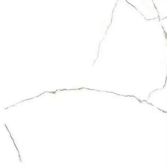 Pandora White Matt Rectified 59.4х59.4