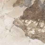 Persian brown бежевый 60x60