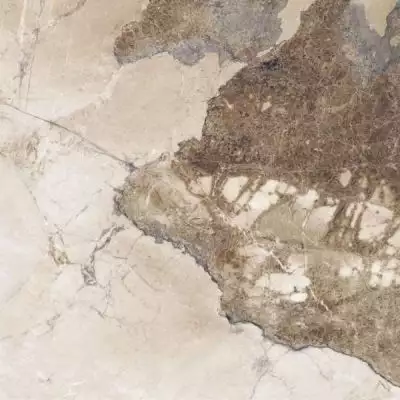 Persian brown бежевый 60x60