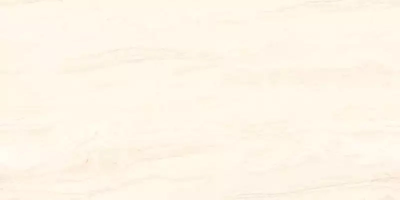 RS Brizzo Ivory Carving 60x120
