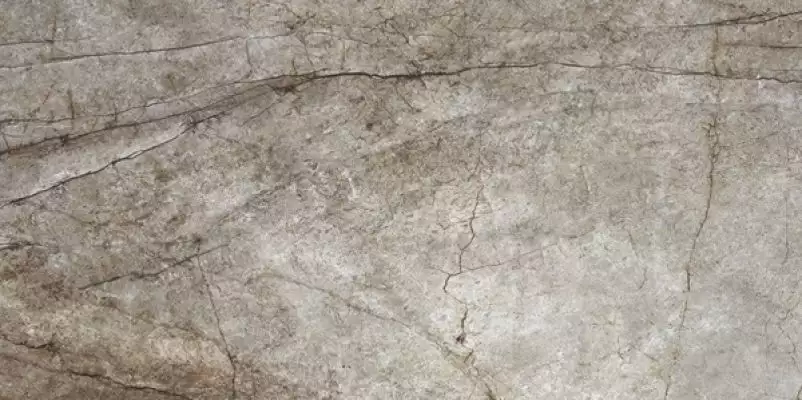 Rain Forest Natural 60x120