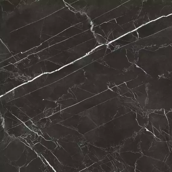 Royal Black 590x590