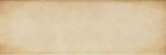 Scarlett Beige 25.1x75.6