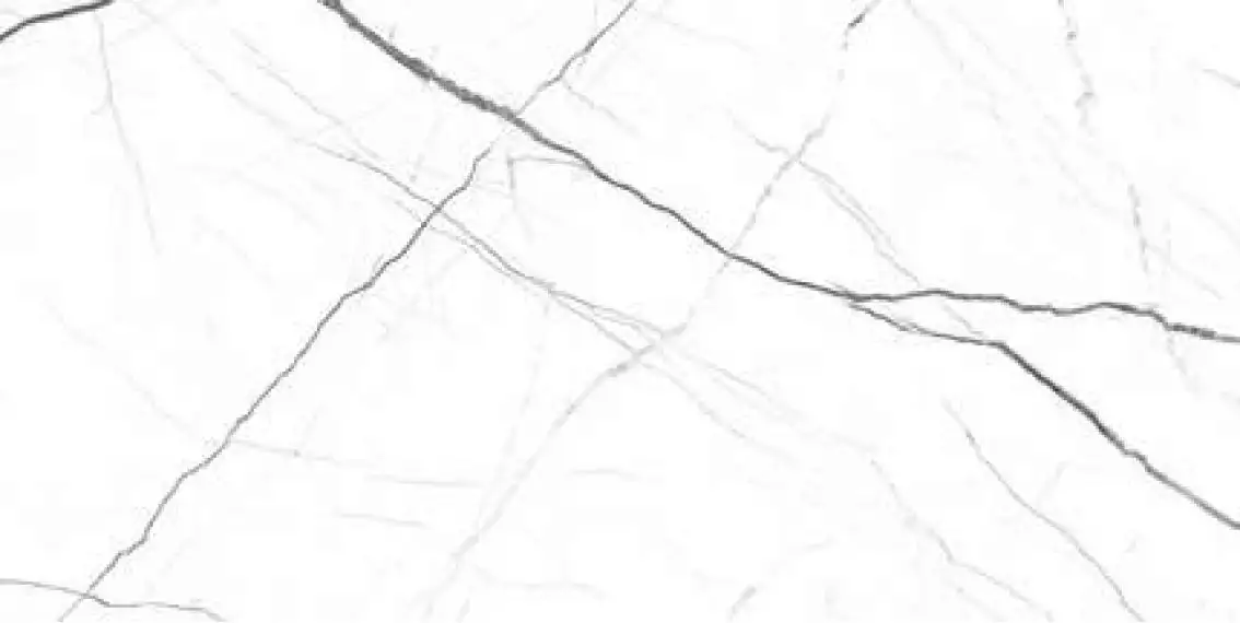 Sensi White Polished 60x120
