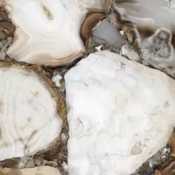 Sirius Gold Полированный 60х60