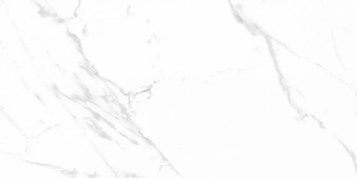 Statuario Justice Grey Белый Матовый 60х120