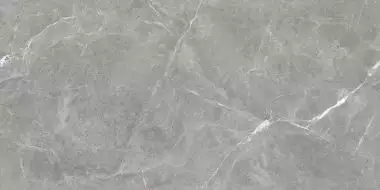 Stone Cool Grey Серый Матовый 60х120