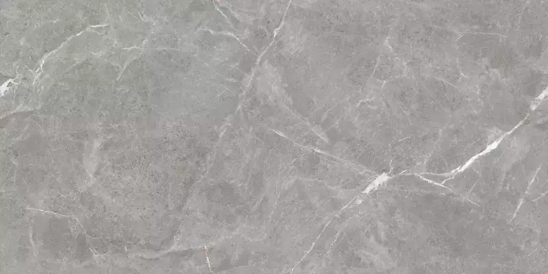 Stone Cool Grey Серый Матовый 60х120