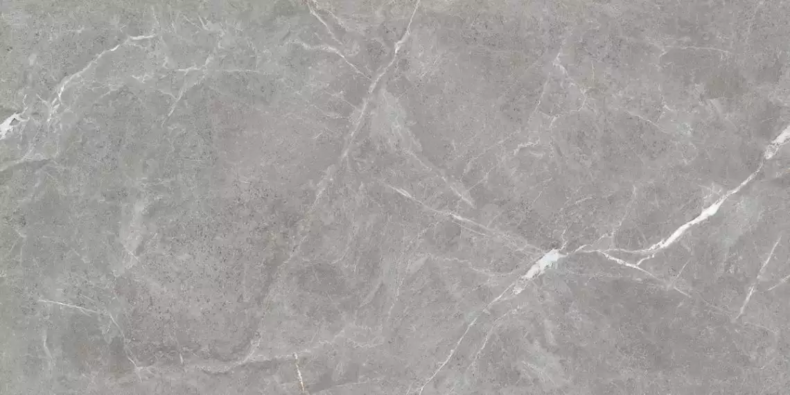 Stone Cool Grey Серый Матовый 60х120
