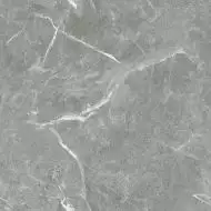 Stone Cool Grey Серый Матовый 60х60