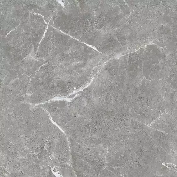 Stone Cool Grey Серый Матовый 60х60