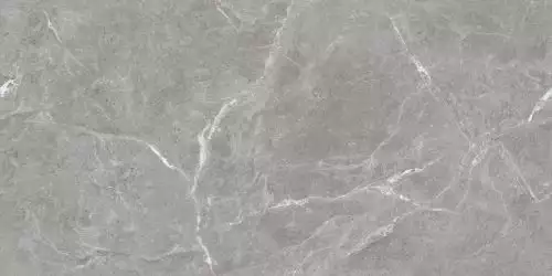 Stone Cool Grey Серый Полированный 60х120