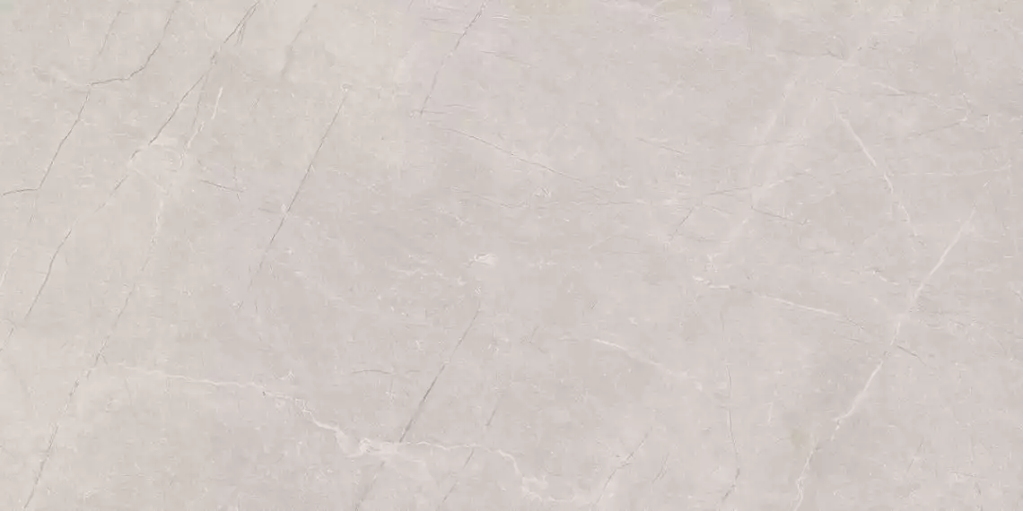Stone Divine Grey Серый Матовый 60х120