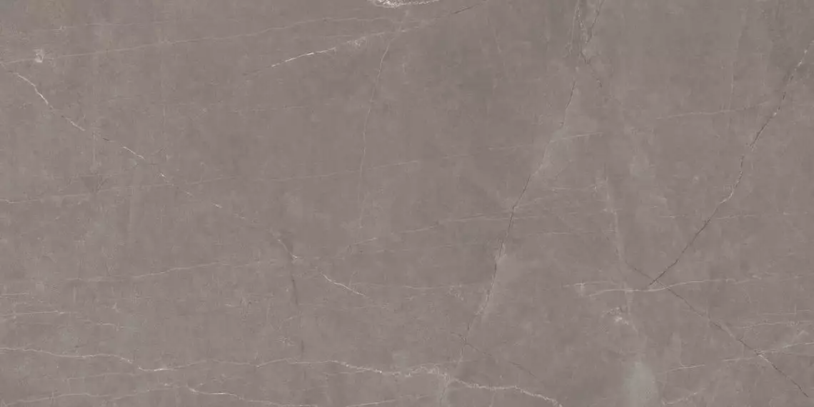 Stone Micado Grey Серый Полированный 60х120