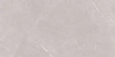 Stone Sovereign Серый Матовый 60х120