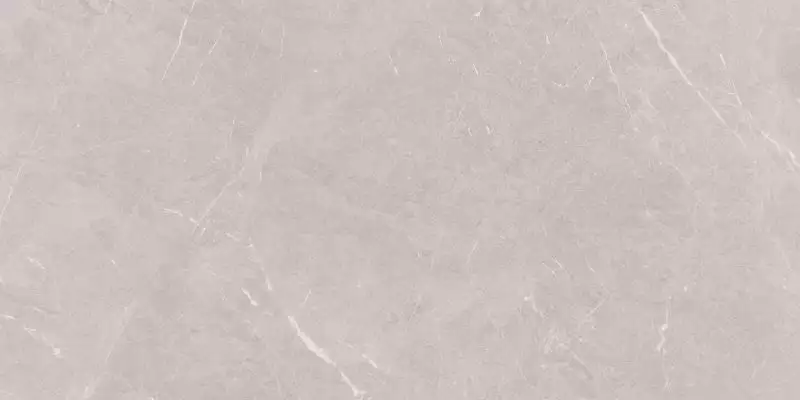 Stone Sovereign Серый Матовый 60х120