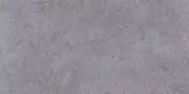 TP3619BМ Бианор серый ректификат 30x60