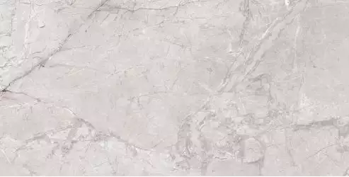 Zorani Bianco светло-серый 60х120