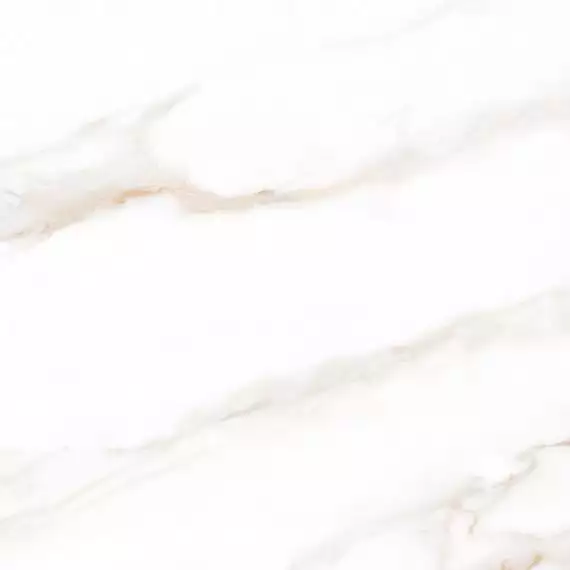 Calacatta Regal Gold Белый Матовый 80х80