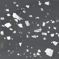 Terratile Nero 60x60