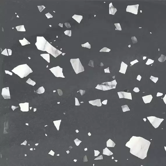 Terratile Nero 60x60